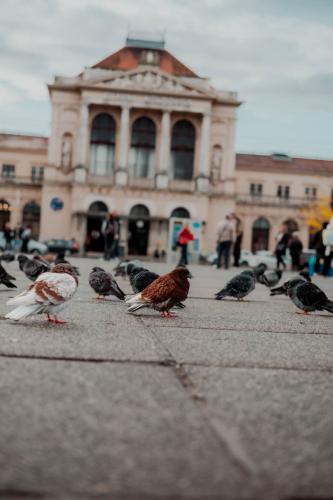 Christine i Terry-1.2